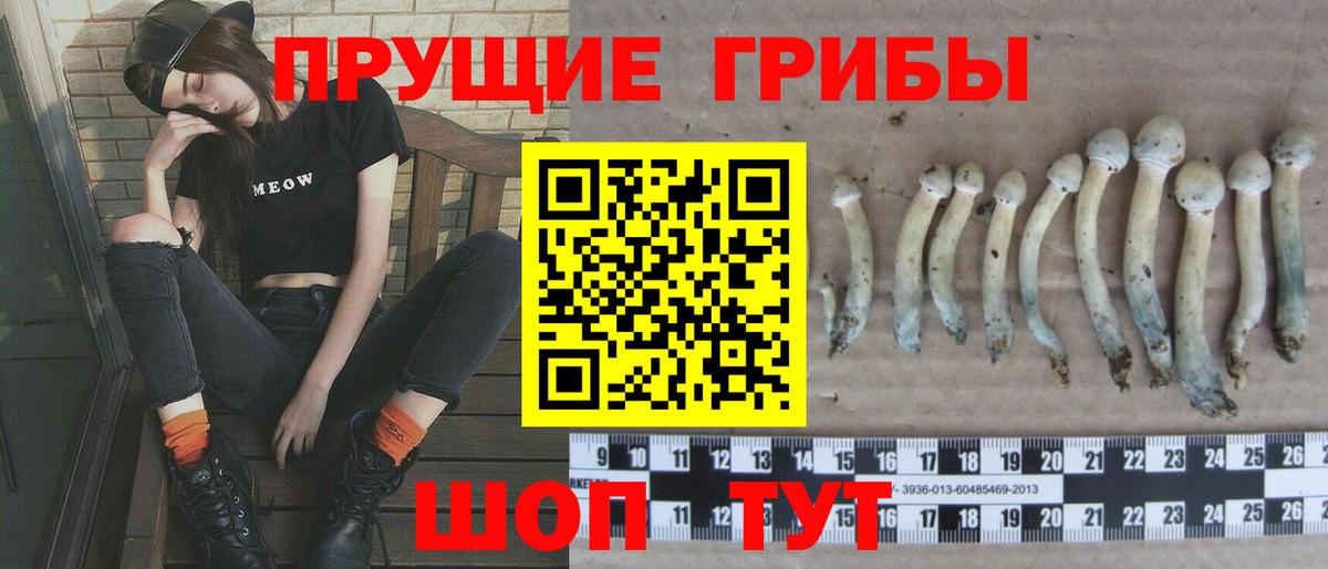 Архангельск  Галлюциногенные грибы Magic Shrooms  Вход с VPN 